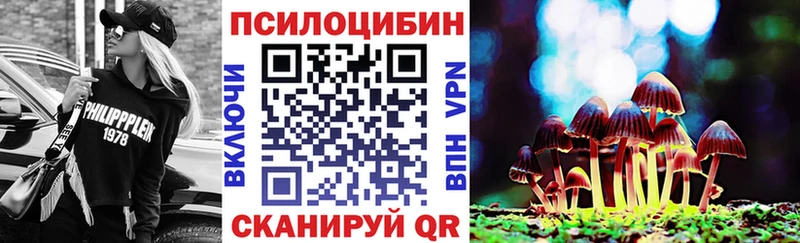 Псилоцибиновые грибы мицелий  купить наркотики цена  mega ТОР  Волчанск 